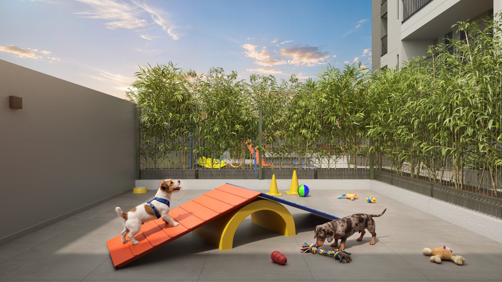 Pet place